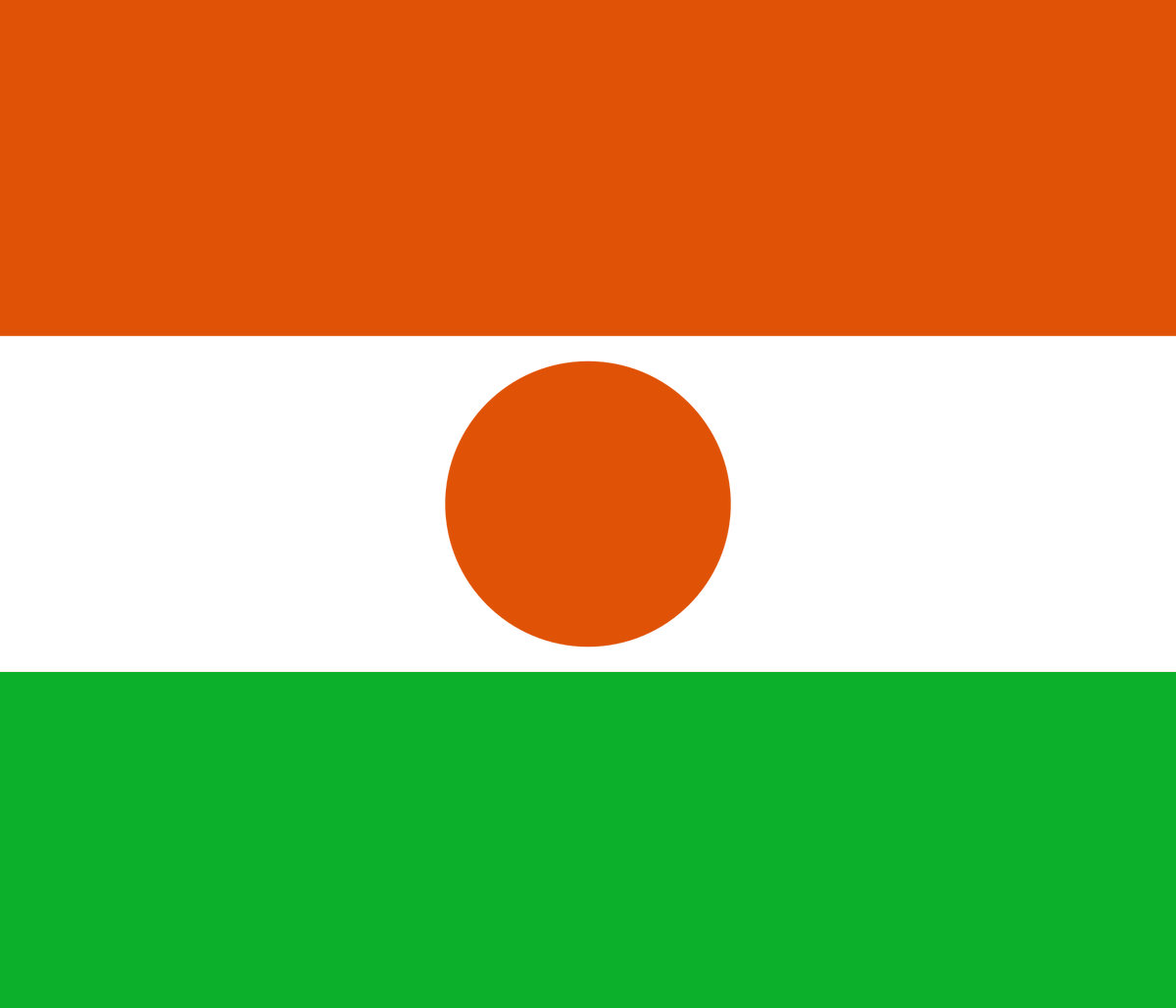 Today is the national day of Niger, Republic Day. Niger has the lowest median age in the world