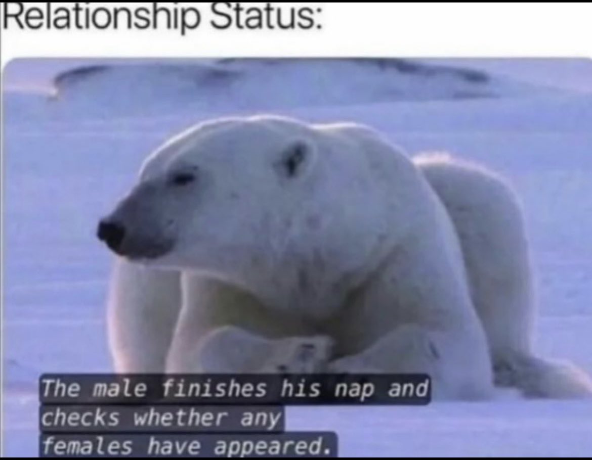AGSchmalz's tweet photo. This perfectly describes my Dating life while working 60 hours a week and going to school😂 https://t.co/mwcnR8Lu1B