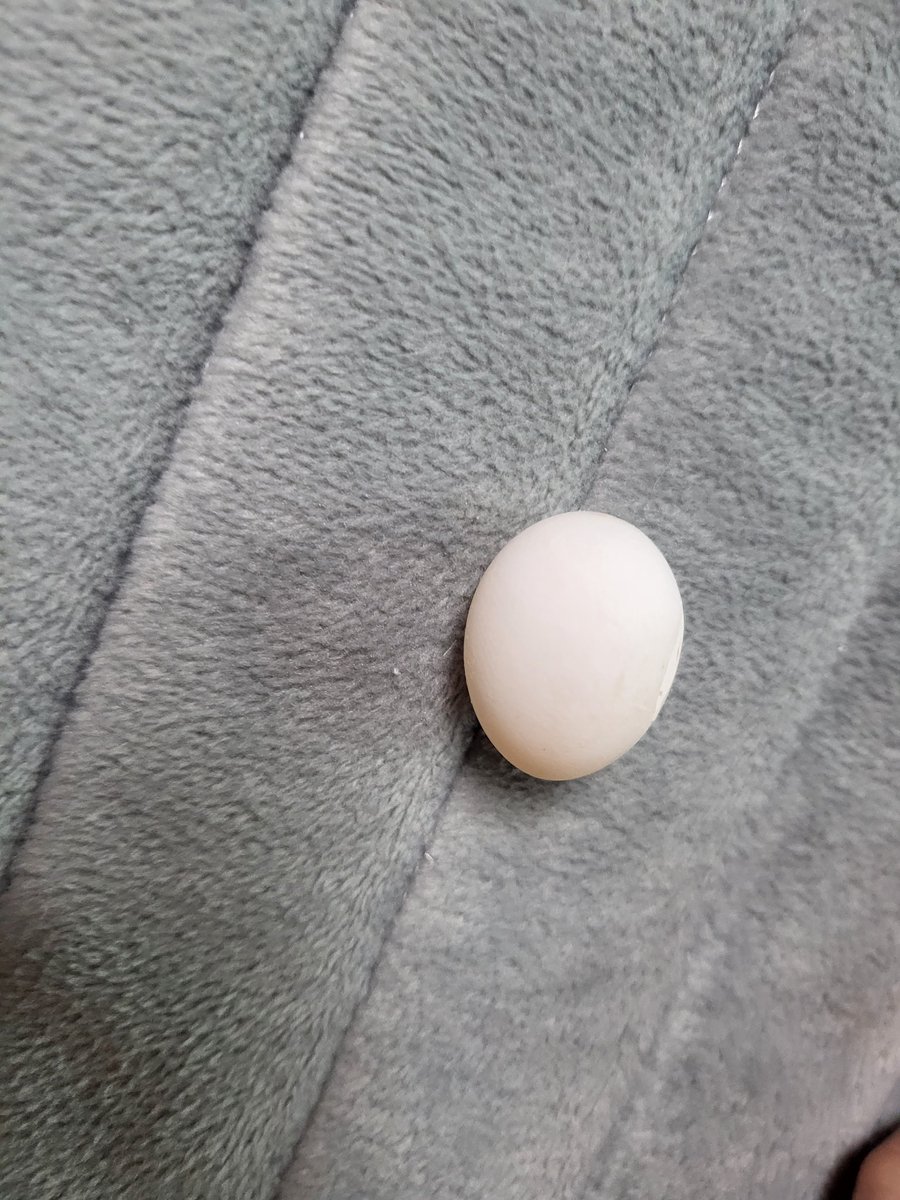 알을 낳았네;;;;