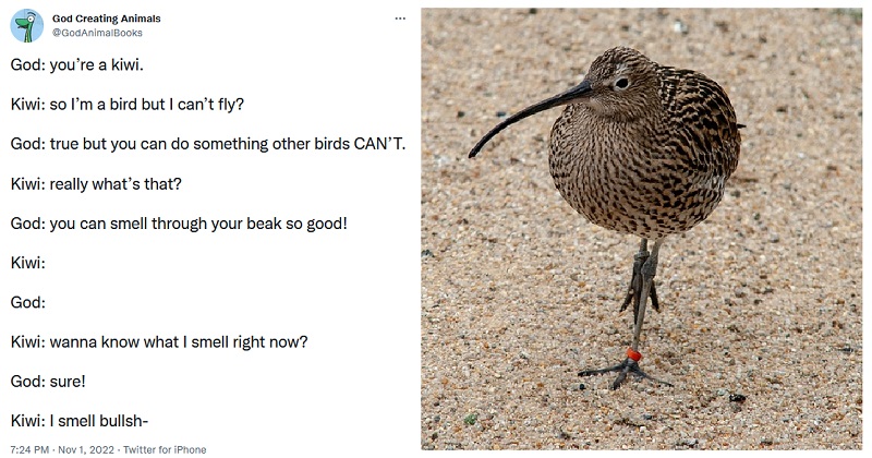 God Creating Animals (@GodAnimalBooks) / Twitter God Creating Animals (@GodAnimalBooks) / Twitter