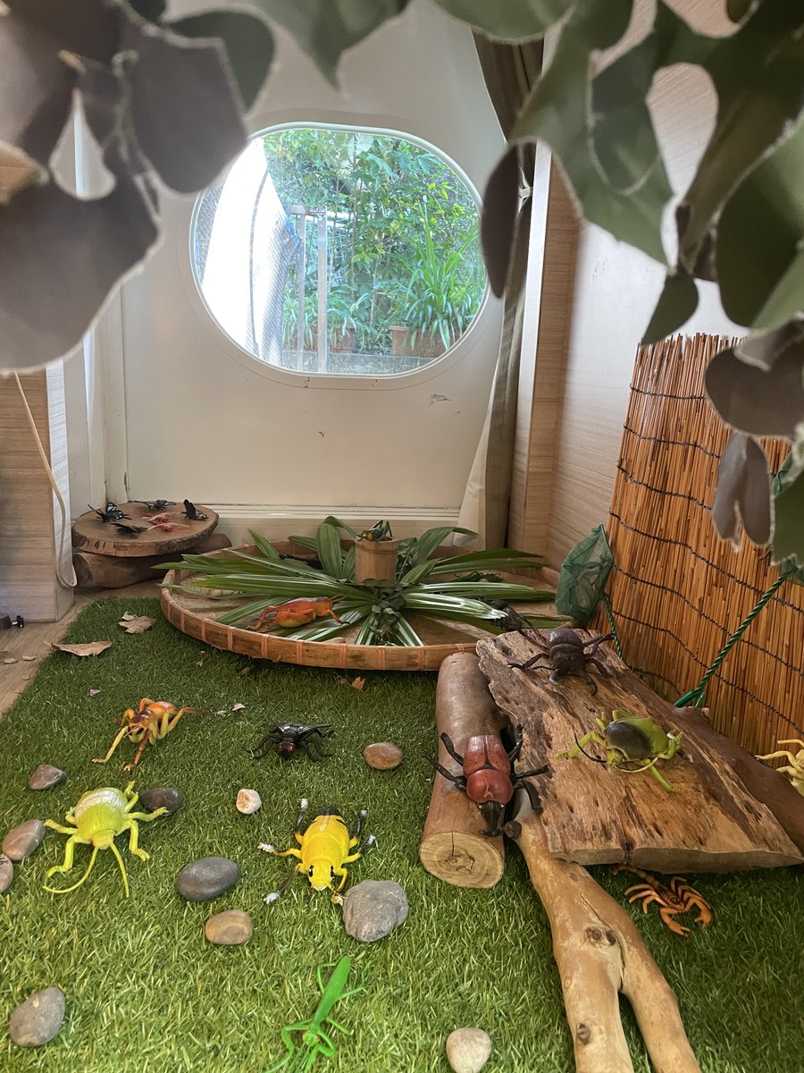 ESFAbacus's tweet image. Bringing the great outdoors inside in our K2 English Class. #usingourimagination