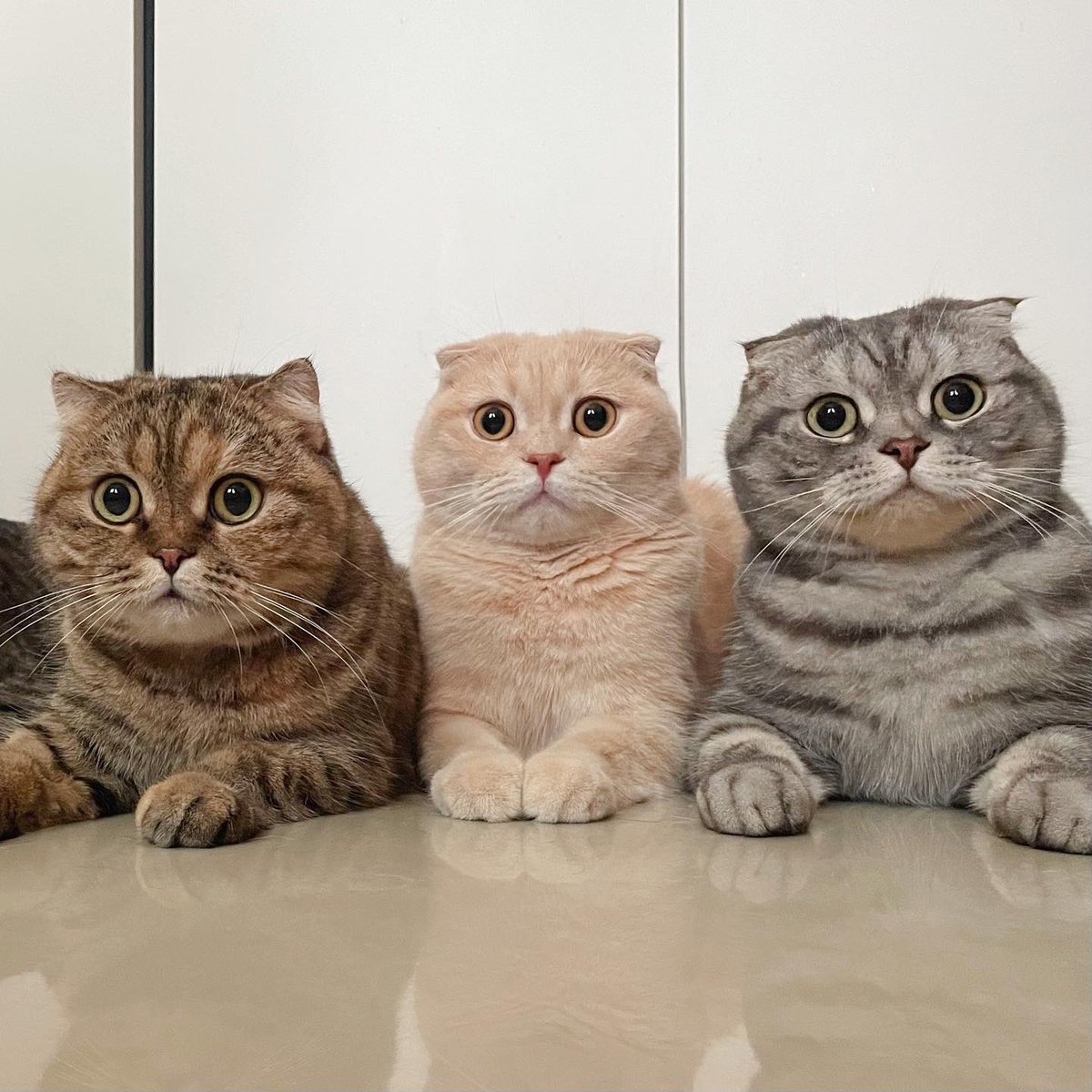 พี่เจ๋งน้องเตี๋ยวไม่ตีกันสิลูกกก tweet media