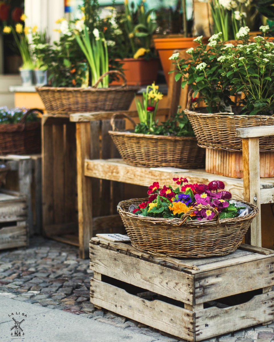 Rekomendasi tempat liburan baru di Jogja!

Ayo agendakan liburan weekend mu kesini. La Li Sa Farmer’s Village akan buka bulan Desember 2022. 
La Li Sa Farmer's Village
#lalisajogja #farmersvillage
--
#jogjahits #destinasiwisata #yogyakarta