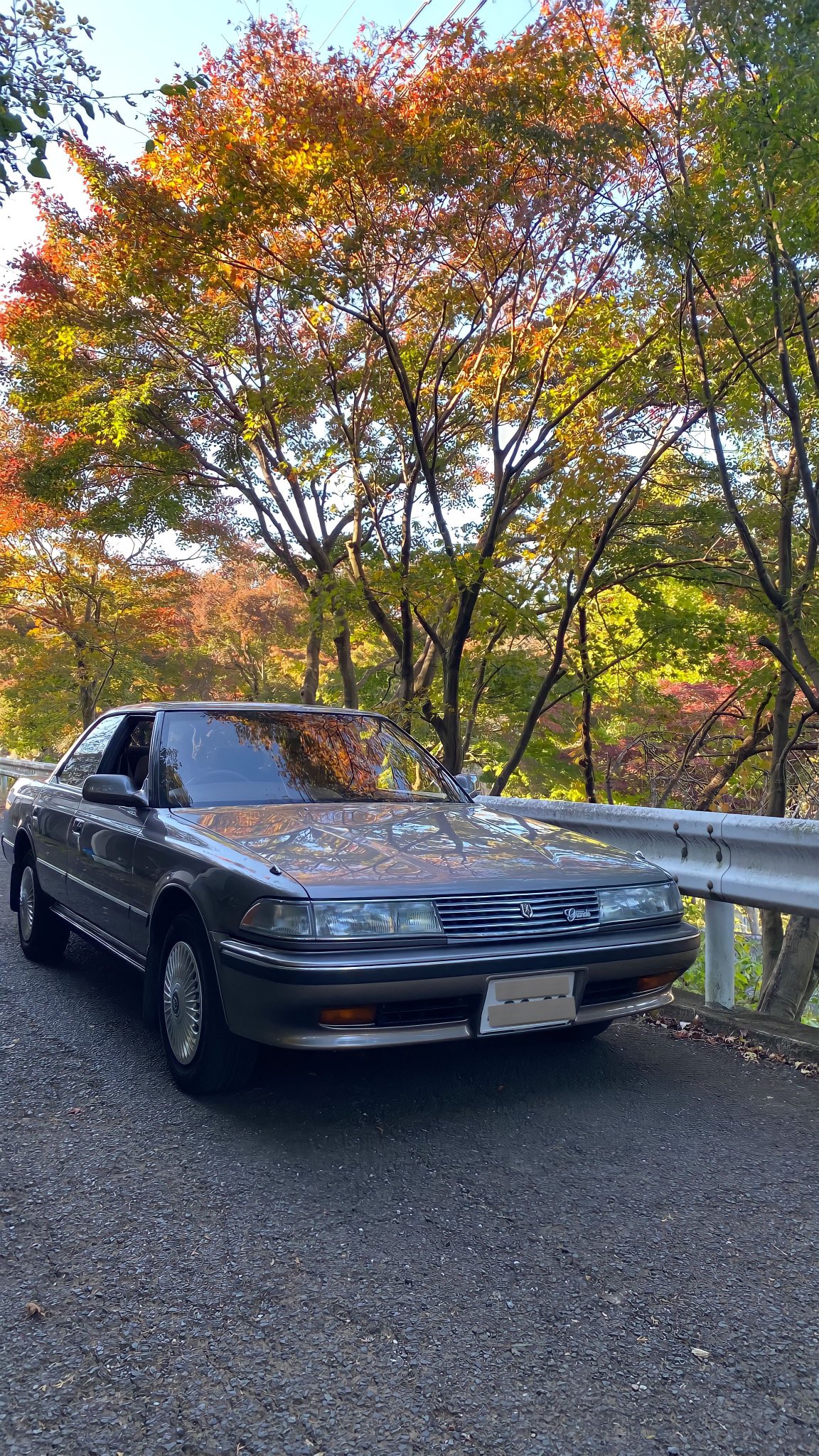 平成カーラバーズ Heiseicarlovers Twitter