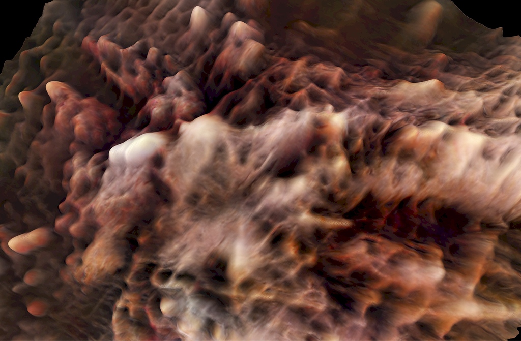 Next Nature tweet media