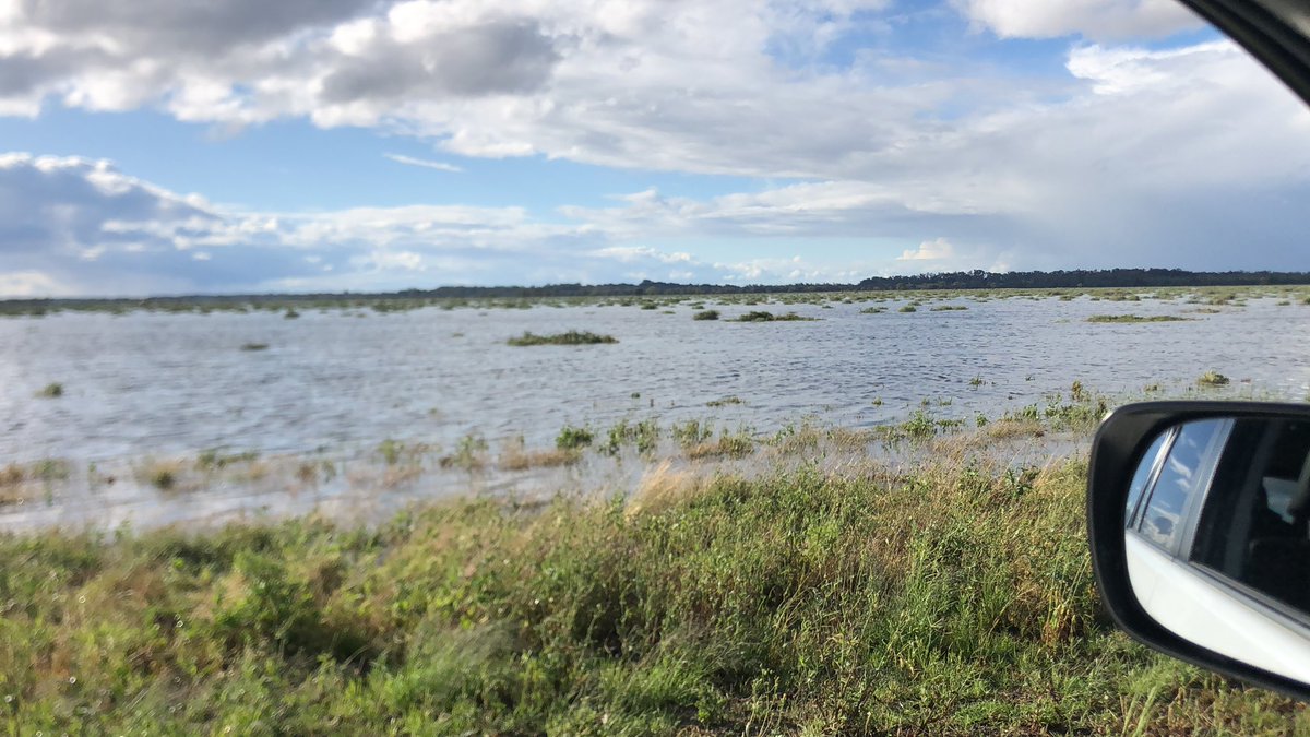 John Stevenson tweet media