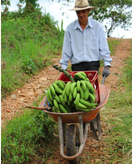 sdv_forest's tweet photo. 1/4 #SueñodeVida is Spanish for “dream of life.” Kristen and Juan have lived the dream in Ecuador for 7 years now. This account is sharing info that supports their dream of living in a world where truly #regenerativeagriculture is the norm. https://t.co/knl6CUG2MG