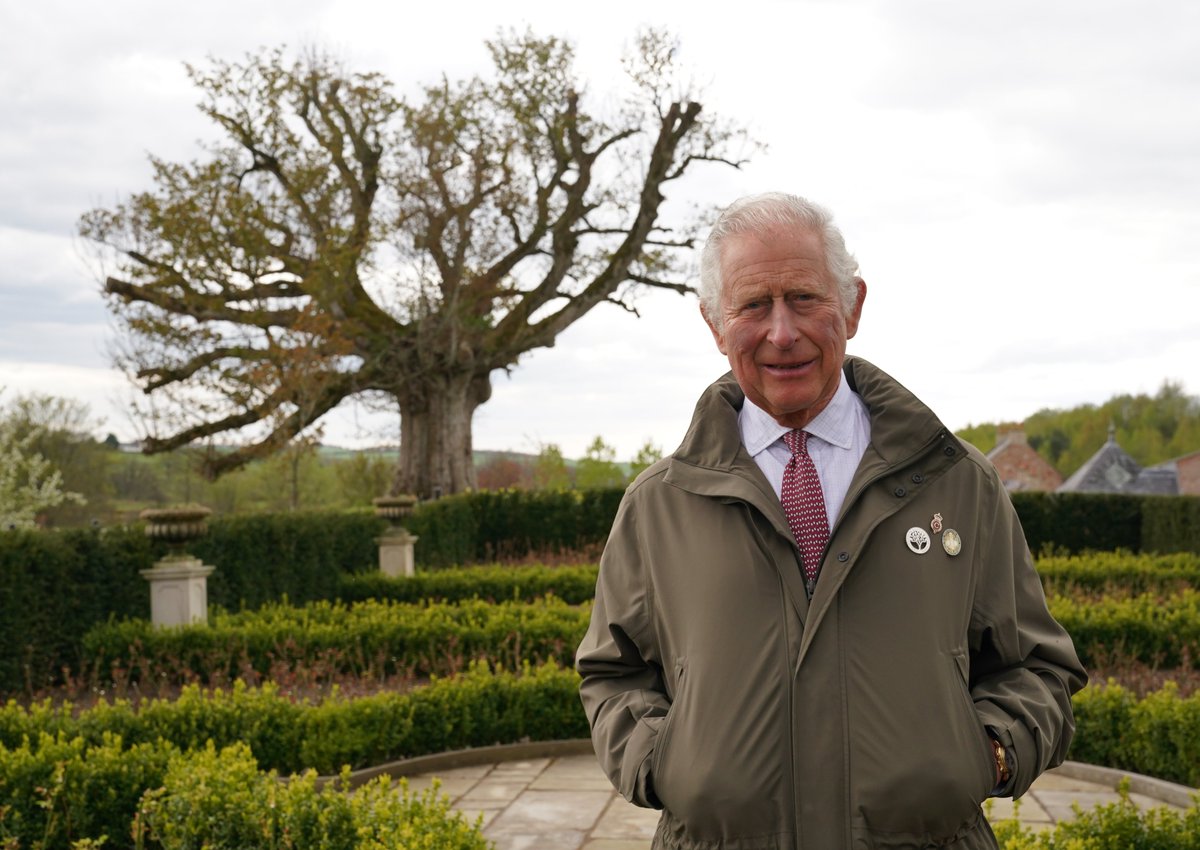 Wishing our Patron, His Majesty The King, a very Happy Birthday!💚

In May, The King was pictured in the @dumfrieshouse garden under the majestic branches of the Old Sycamore to mark the launch of the QGC's Ancient Canopy🌳

@RoyalFamily