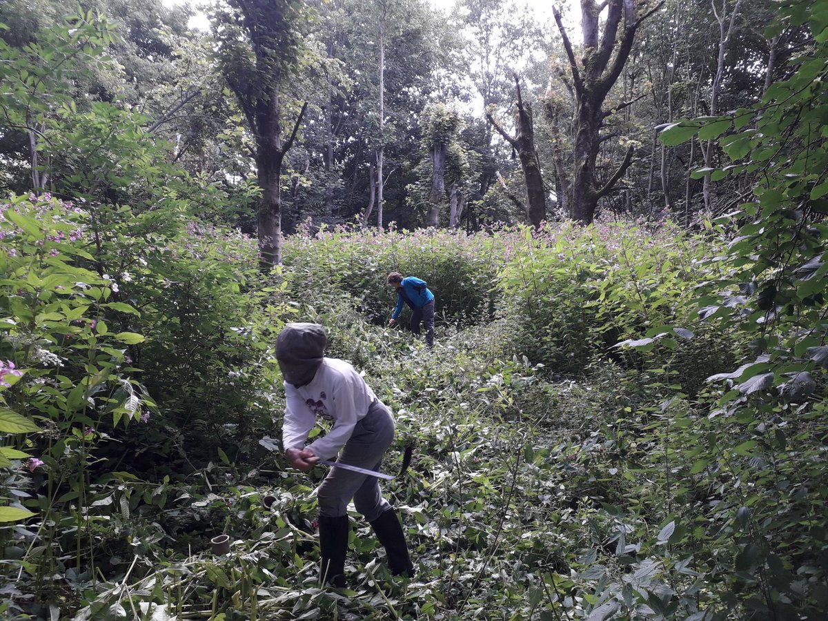 CalderCountry's tweet photo. It is kindness week in Calderdale so wanted to say 'thank you' to all the volunteers who give their time to make local countryside a better place. Their kindness makes a huge difference whether they are clearing Rights of Way, planting trees or clearing ponds. #VisionCdale202 https://t.co/fEMn89ThuT