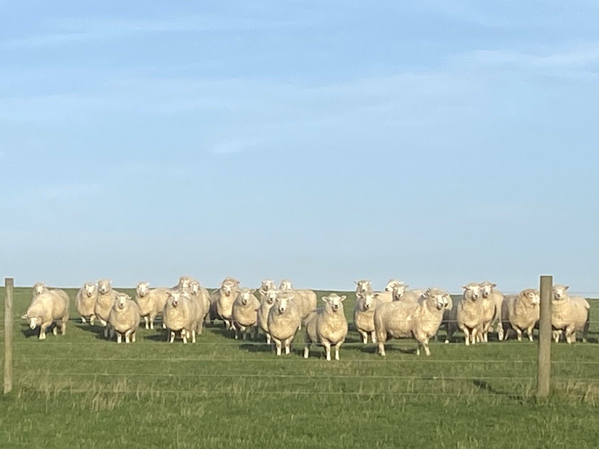 John Goffin tweet media