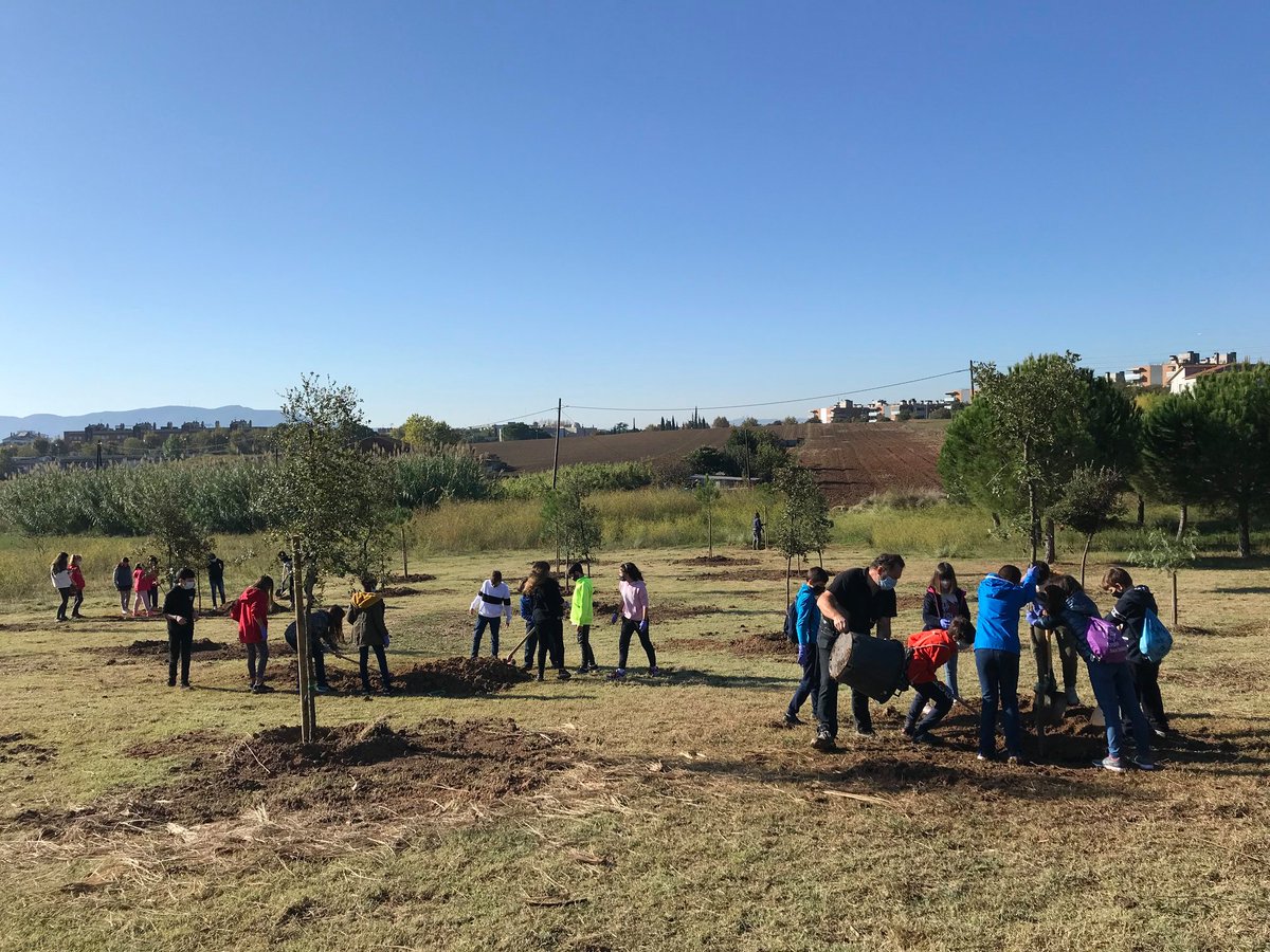 JordiSeguer's tweet photo. FIL: L'octubre de 2020, fa més de dos anys i durant la gestió del #GovernPlural, es van plantar tot un seguit d'arbres en el terreny de propietat municipal que hi ha en el camí de Can Serra #Parets #GoverndeCarrer https://t.co/vY1iINokxq