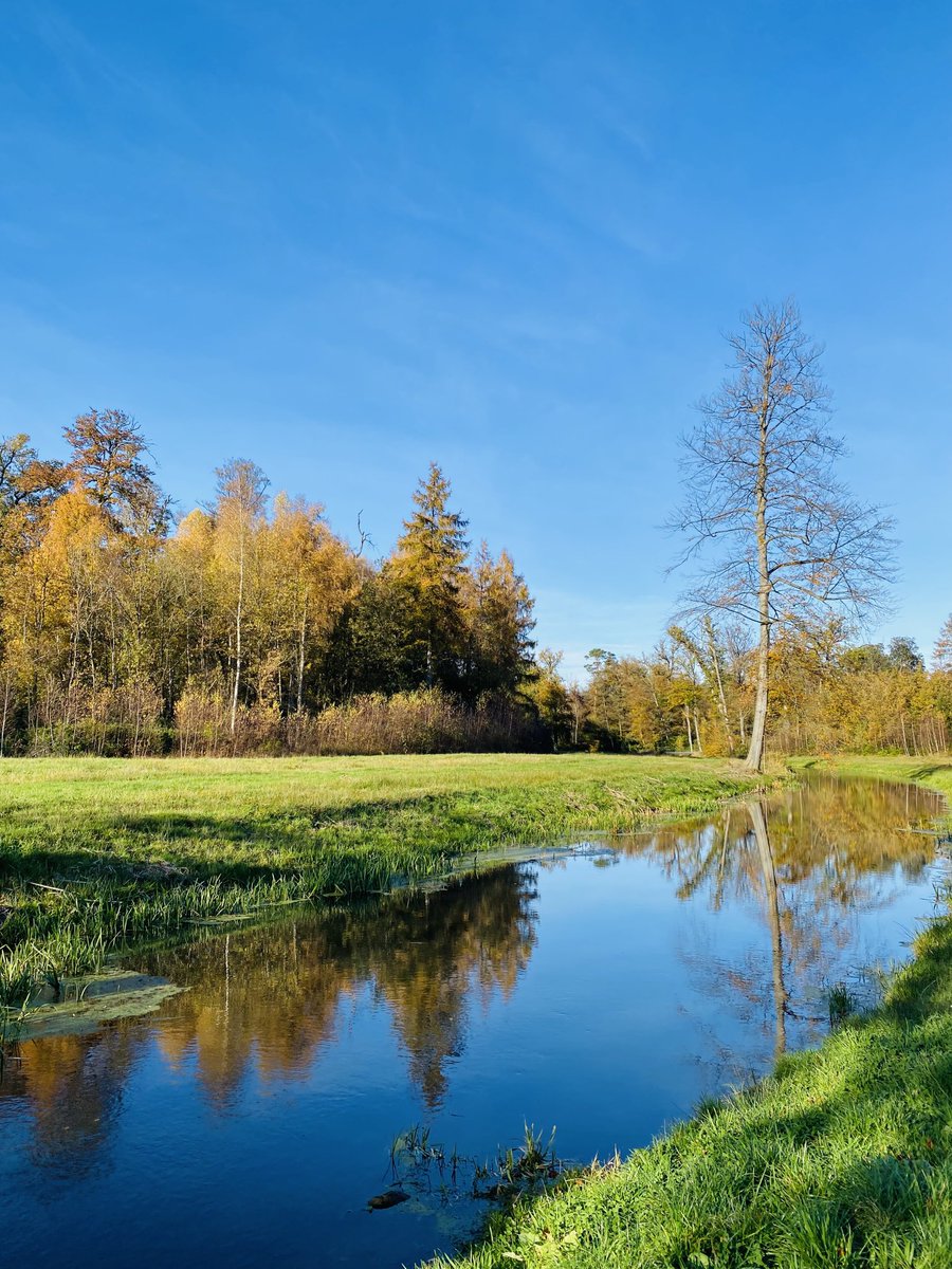Goedemorgen 🍁🍂herfst ☀️☀️