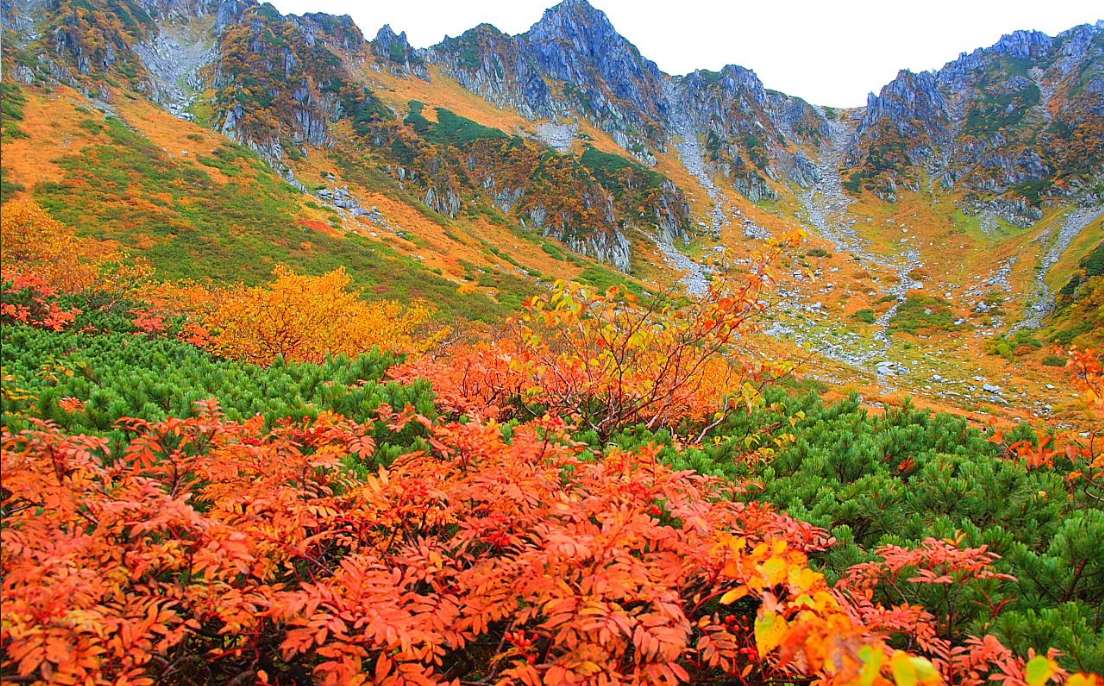 GKTT9iumTjdTnjp's tweet photo. ＜���本の秋の風景－２＞
綺麗ですね！ https://t.co/A2w175AMvP