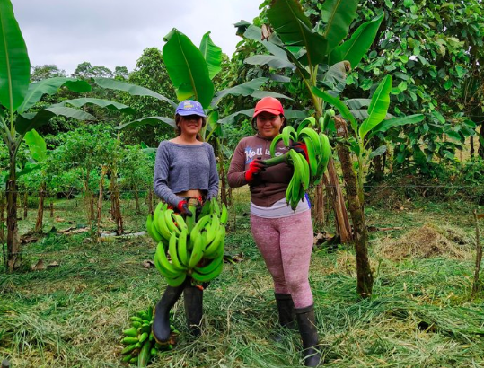 sdv_forest's tweet photo. 4/4 We #regenerate the rainforest, cultivate organic cacao and other nutritious foods, and provide opportunities for our local community. Through programming/content, we share  knowledge near and far to bring a healthier and more harmonious way of life to people everywhere. https://t.co/lpTlv7Rho6