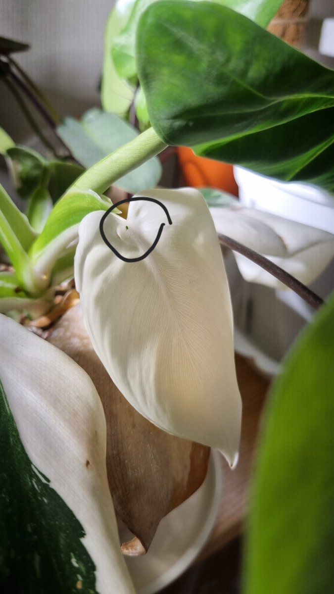 할말이없다..
아무튼 고스트는 아님..