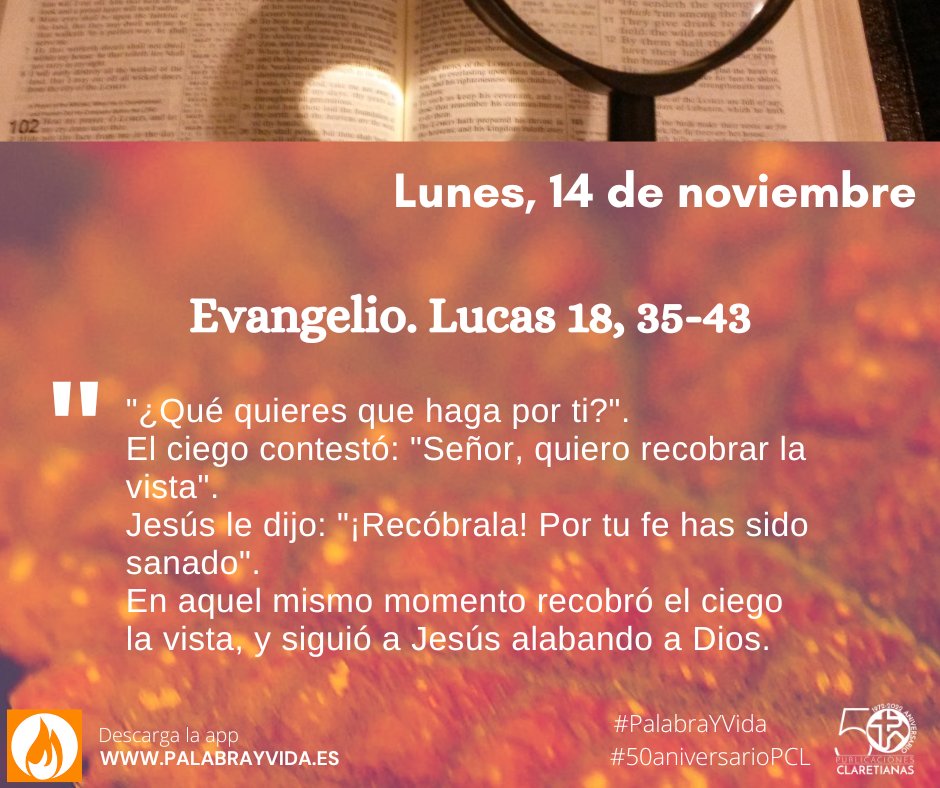 "La fe viene de Dios y con ella se descubre la presencia del Señor en los acontecimientos de cada día. Habrá, pues, que estar vigilantes para que, cuando pase Jesús, nos percatemos de ello". Cardenal Carlos Amigo

#EvangeliodeHoy #EvangelioDelDía #PalabrayVida