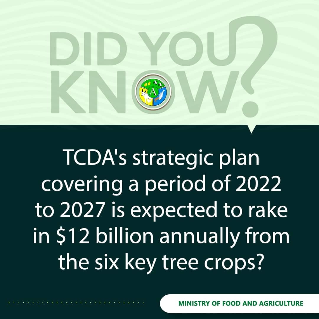 mofagovgh's tweet photo. Ghana's #treecrop industry has enormous potential as such the #Tree Crop Development Authority #TCDA was established to regulate and develop the production, processing, and trading of six tree crops in 🇬🇭 which are being promoted under the #PERD. https://t.co/gwRCYvlXby