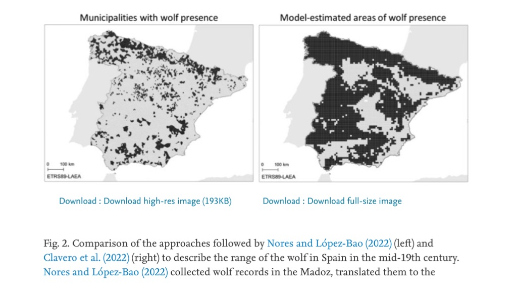 How can we best use historical documents to reveal species declines? Answer: using predictive models. Ignoring geographic information gaps results in serious underestimation, as in a widely publicised article on Spanish wolf.👇Our new paper w/ <a href="/Chikichanka/">Miguel Clavero</a> authors.elsevier.com/sd/article/S00…