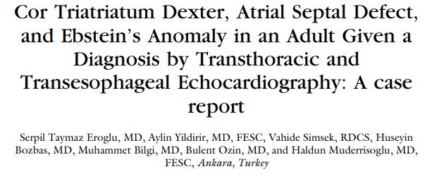 KELLY BOEGEL tweet media