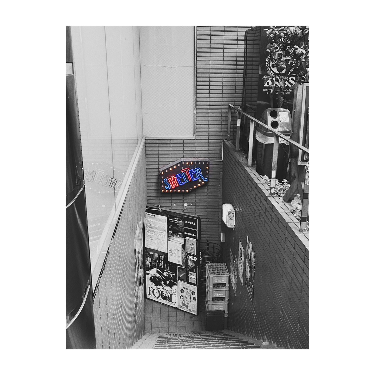 TK4TYOU's tweet photo. STARRY
#ぼっち・ざ・ろっく https://t.co/1nZPlXCmwN