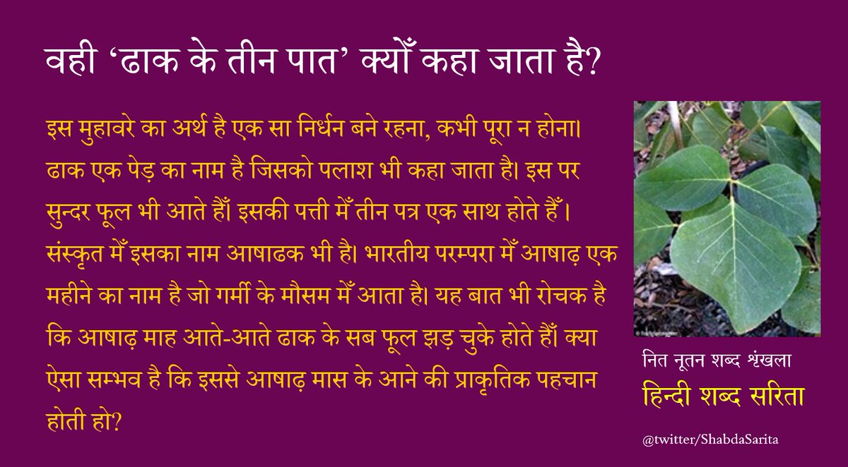 वही ‘ढाक के तीन पात’ क्योँ कहा जाता है?

#नित_नूतन_शब्द_शृंखला
#हिंदी #हिन्दी