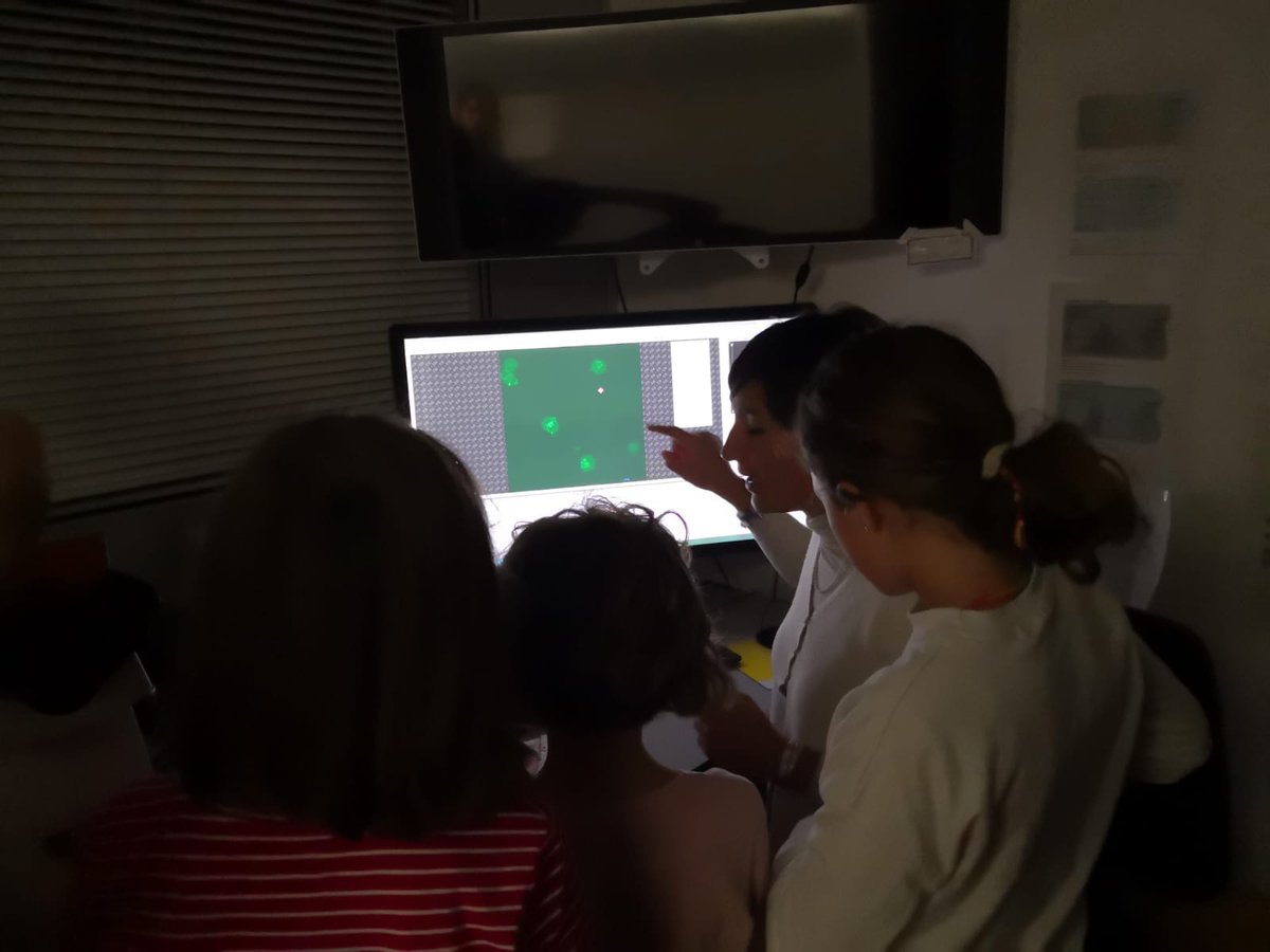 MIMIC-KeY project (@keymimic) on Twitter photo Here we are <a href="/BiennaleTech/">Biennale Tecnologia</a>, showing #EVs through fluorescence microscopy to children and students
<a href="/PoliTOnews/">Politecnico di Torino</a> <a href="/tnh_lab/">Valentina Cauda's TNH Lab</a>
<a href="/EU_EIC/">EU_EIC_followers</a> <a href="/HorizonEU/">Horizon Europe 🇪🇺</a> Here we are <a href="/BiennaleTech/">Biennale Tecnologia</a>, showing #EVs through fluorescence microscopy to children and students
<a href="/PoliTOnews/">Politecnico di Torino</a> <a href="/tnh_lab/">Valentina Cauda's TNH Lab</a>
<a href="/EU_EIC/">EU_EIC_followers</a> <a href="/HorizonEU/">Horizon Europe 🇪🇺</a>