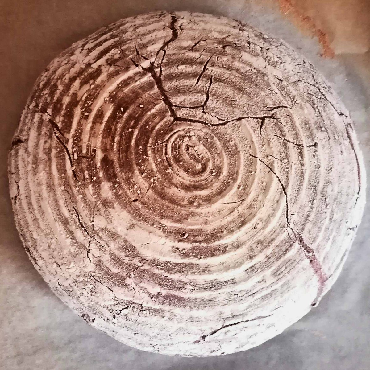 MikeKocht's tweet photo. @Ingrid_1801 Ja, herrlich. #Chapeau
Eine Kompetenz, die ich gerne an #dbEva abgetreten habe. Die kann das einfach besser .-) https://t.co/pGe8VeobpM