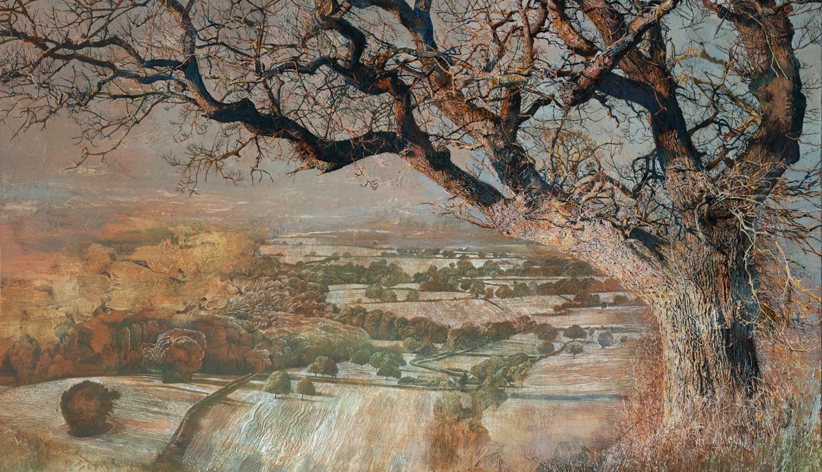 Detail of my painting 'Stumble field oak' 
130 x 140cm egg tempera, watercolour, gesso
#nature #landscape #englishcountryside #drawing #contemporaryart #trees #veterantrees #QGC #sothebys