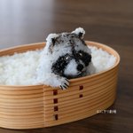 完成度が高すぎて食べられなくなっちゃいそう･･･!あの動物をモチーフにした「おにぎり」!