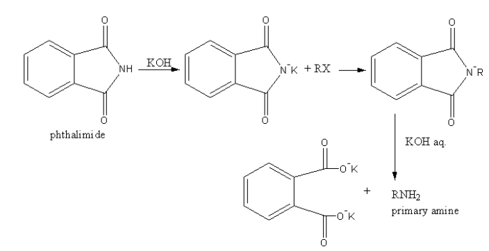 HistoryChem's tweet photo. In 1887 Sigmund Gabriel 🇩🇪 reported a method for the alkylation of phthalimide with primary alkyl halides. Further hydrolysis with strong acids or bases yields the free amine. 
In 1926 Ing. Mask optimized the procedure by using hydrazinolysis to get the free amine. https://t.co/Kmw42LHb1b
