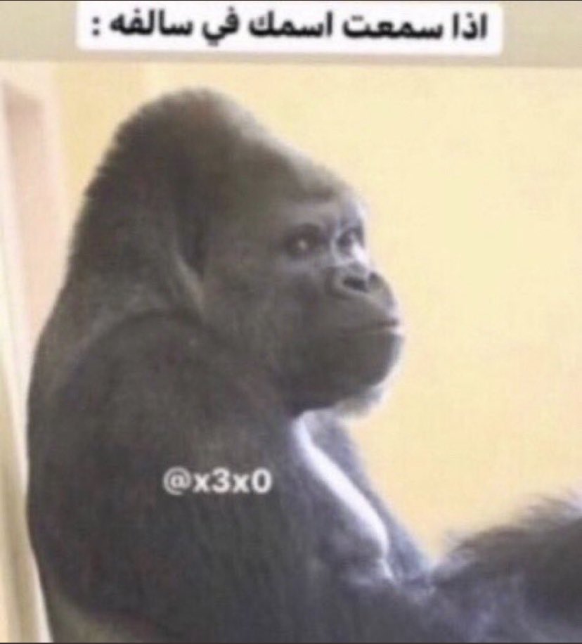 ALDAIL22's tweet image. 