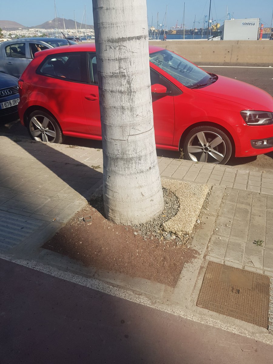 LosVigilantesDeLosÁrboles tweet media