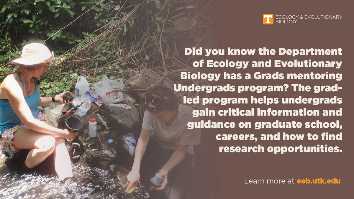 UTK_EEB's tweet photo. #MajorMonday #ecology https://t.co/Am7ToPxj3q