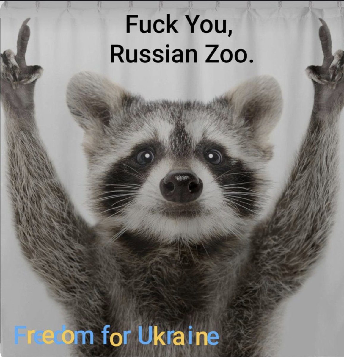 stjohnychan's tweet photo. @yarotrof #freeRascal #freeukraine #lavrovisdefecting https://t.co/QQnYcQXod7