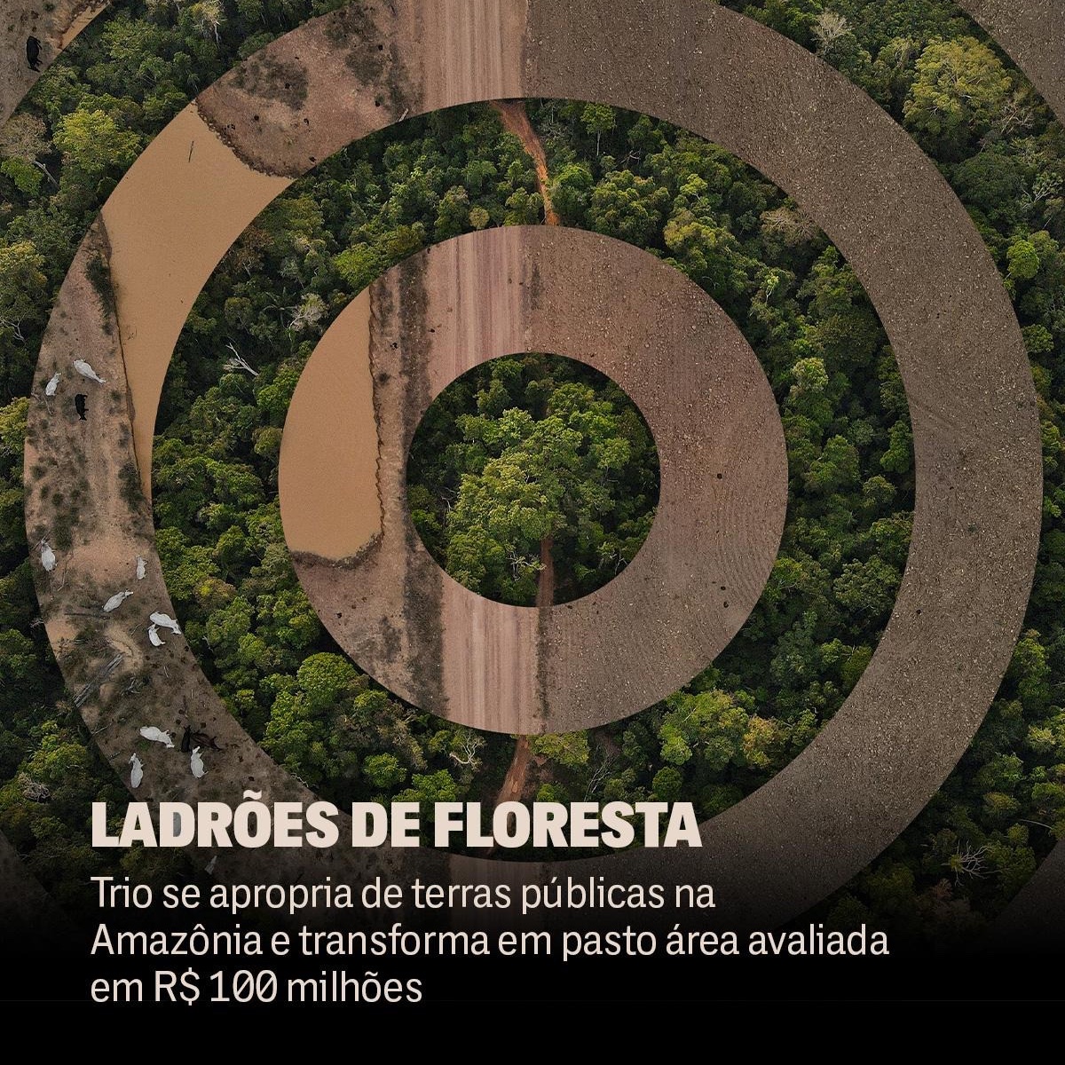 TheInterceptBr's tweet photo. "Se você não quer vender a terra, tudo bem. A viúva vende mais barato".

É o que costumam ouvir os proprietários que se opõem aos grandes fazendeiros na região da Amazônia. O destino das terras: garimpo ou pecuária. https://t.co/K69oI8WoWE