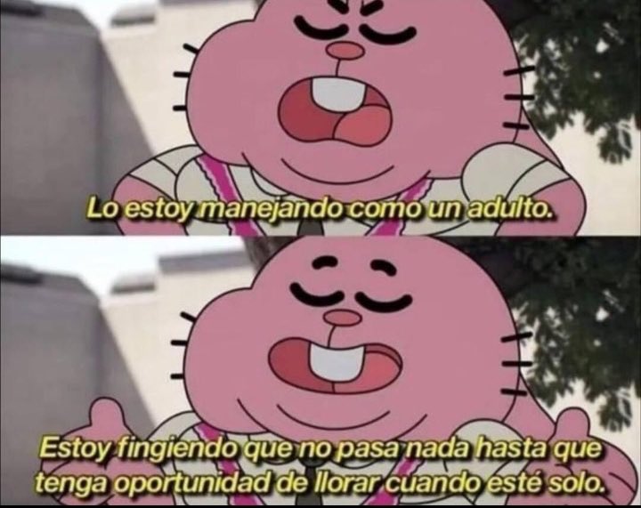 Estoy viviendo mi vida adulta en toda regla: