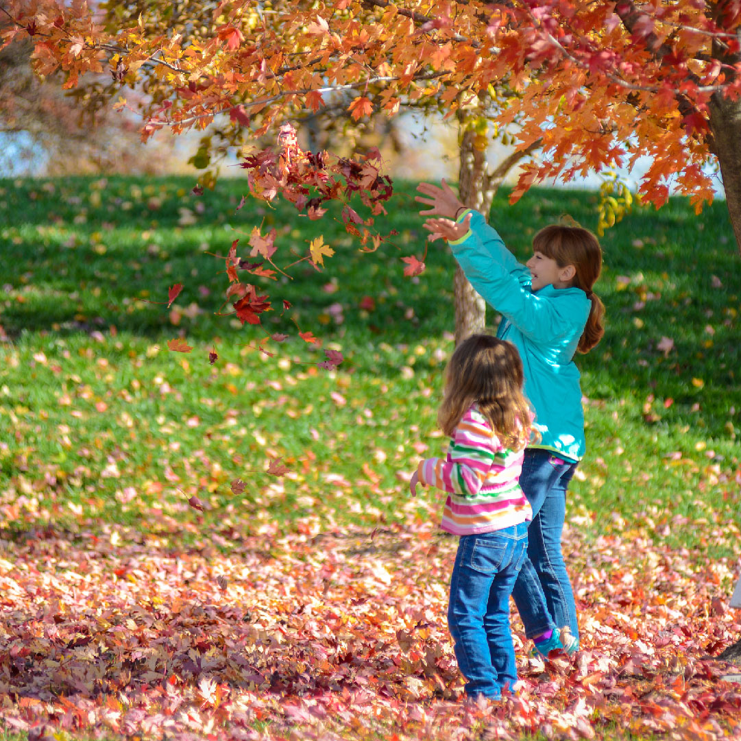 nwkeici's tweet photo. Our Childcare Support Program not only attracts and retains quality staff in childcare centers, but also provides the tools necessary to give families the best experience possible.

We look forward to working with those that applied for the Childcare Grant in October! https://t.co/EKp8wYOcaH