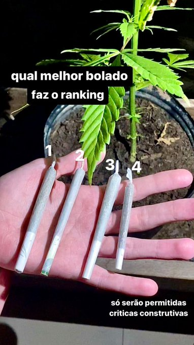 ChapoDoChong's tweet photo. Foto enviada por seguidor 🍁 https://t.co/lXnfR2mqIb