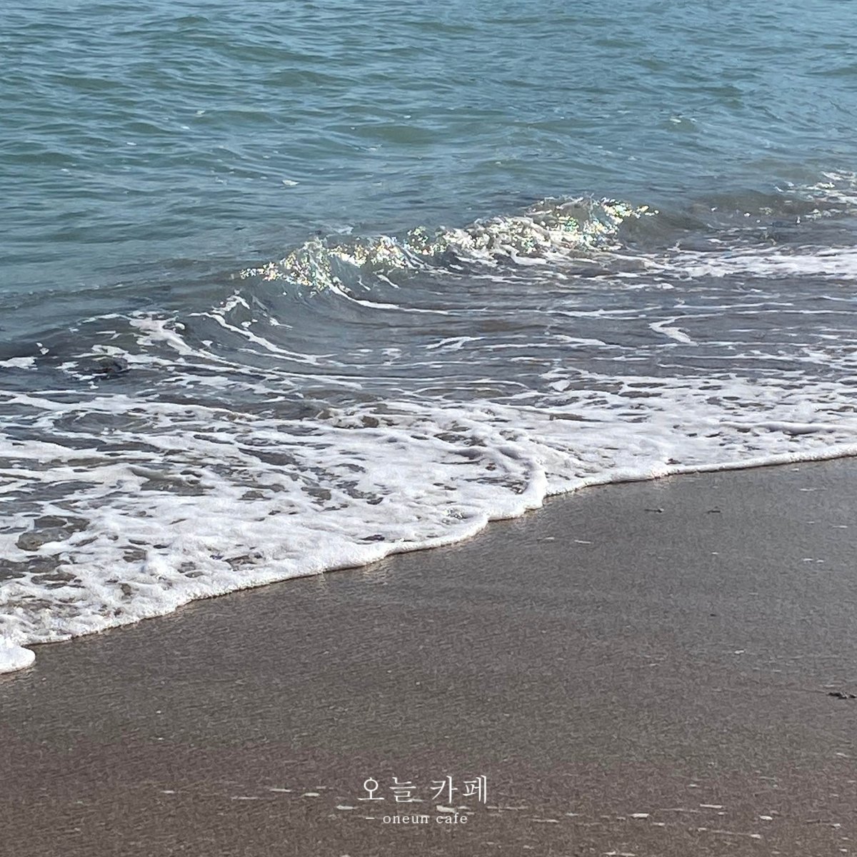 오늘 카페 - oneun cafe tweet media