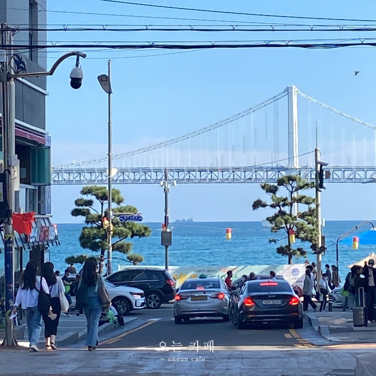 오늘 카페 - oneun cafe tweet media