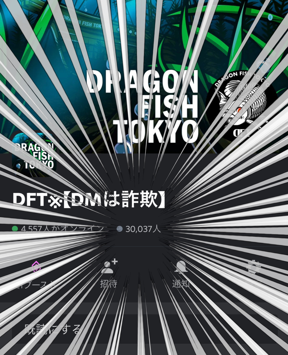 beeeee_ai's tweet photo. Discord membership hits 30,000, DFT fires with the moon!

Chokkaku mooooooon 🚀🚀🚀🚀

DFT：Discord
https://t.co/FTmCDEqV5L

#DFT
#DFTSW
#Chokkaku_mooooooon
#NFT https://t.co/SLfxgahm6R