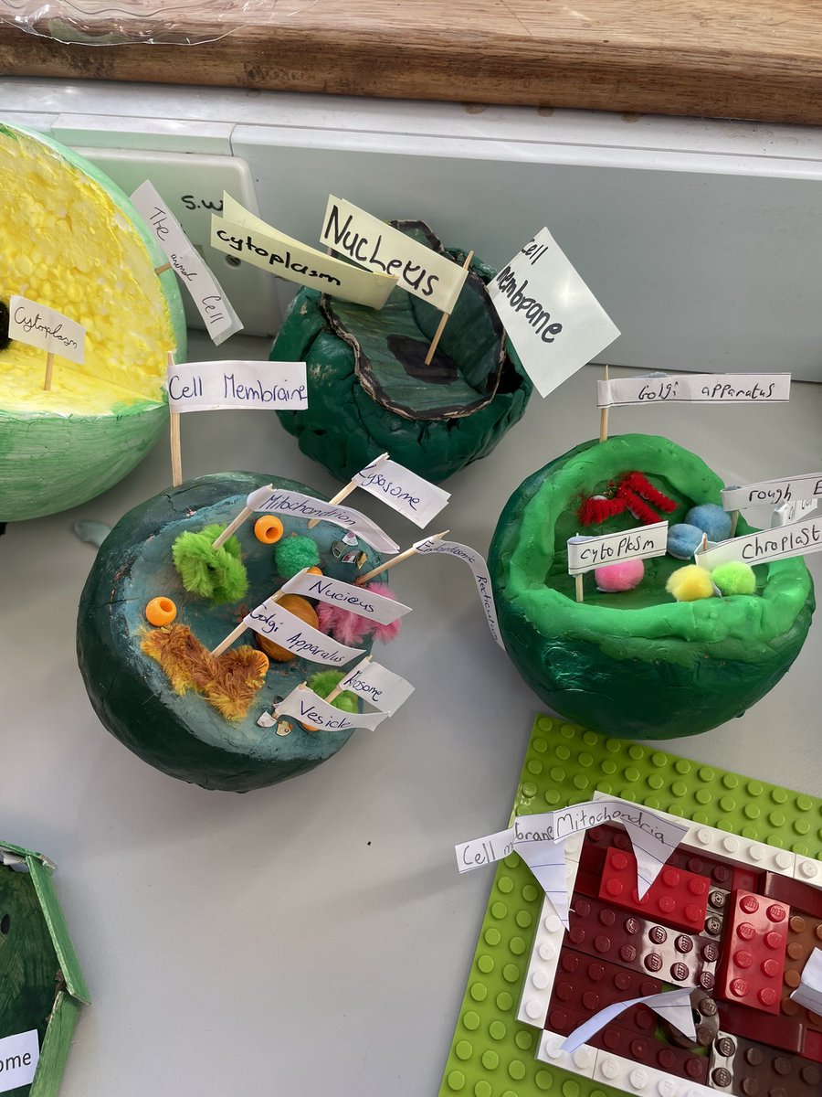 RosComCol's tweet image. Our first years starting @ScienceWeek 2022 by presenting scientific models in class @JCTSteAm @JctScience 🧫🔭🔬🧪🧬🥼 #ScienceWeek #cellmodels