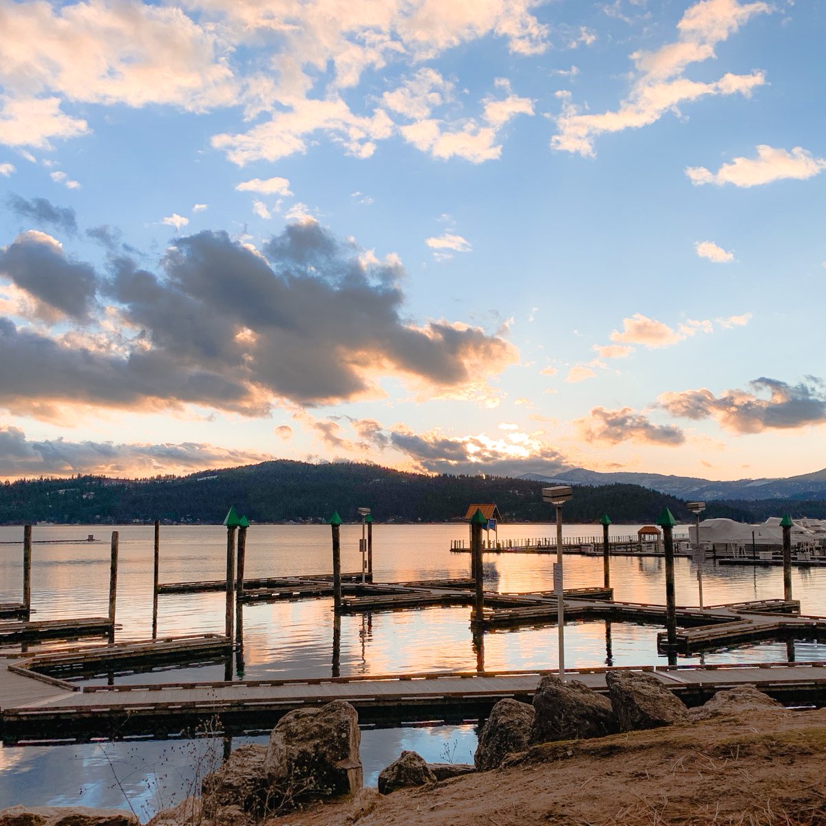 OctoFox Creative tweet media