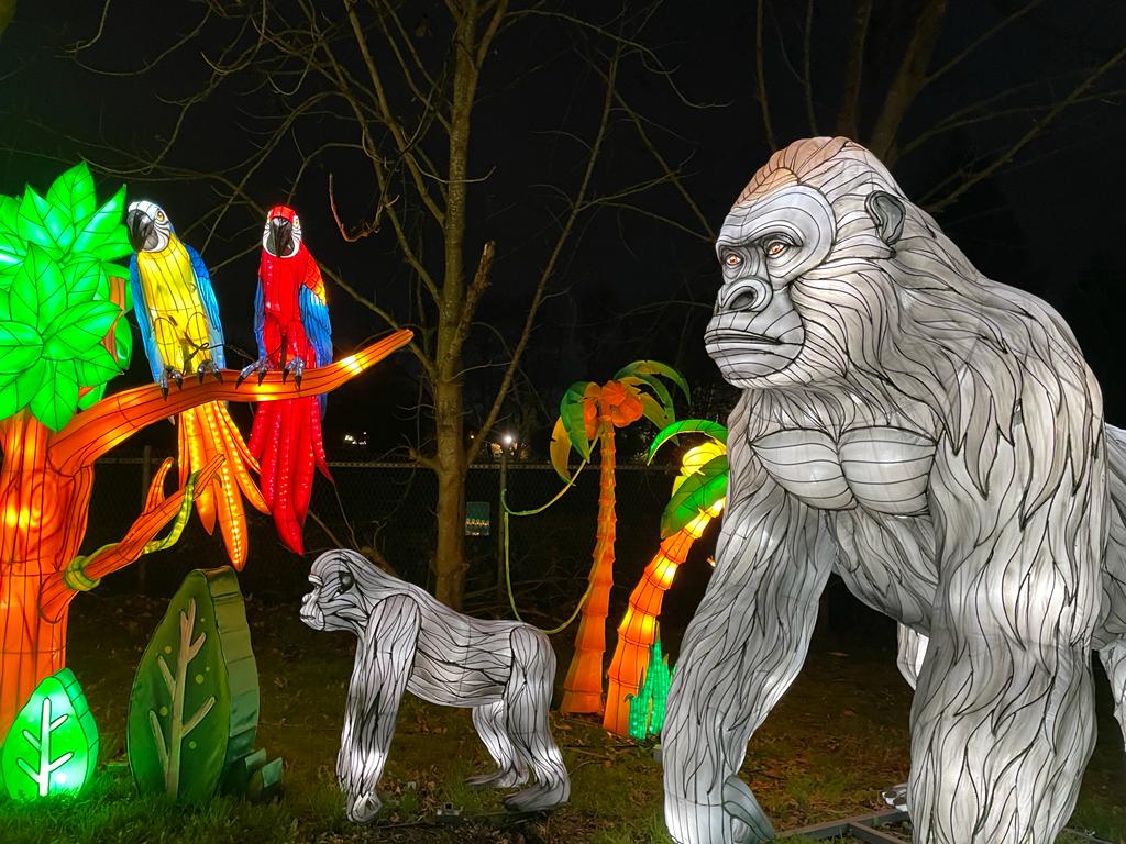 DestinationMK's tweet photo. ✨COMPETITION ✨
You could win a family ticket for 6 people to visit the spectacular #LandofLights @gulliversfun - explore 12 magical dreamworlds at #MiltonKeynes' biggest ever lantern festival! RT to enter + you can enter on our Facebook &amp; Instagram pages. Prize T&amp;Cs apply. https://t.co/vn32bv2vai