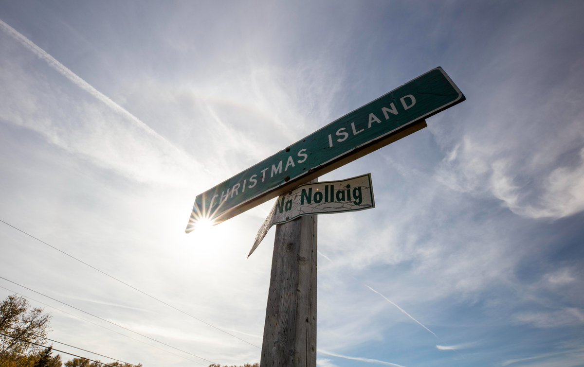 Nova Scotia Archives on Twitter "RT TreeforBoston 🌲TREE CUTTING