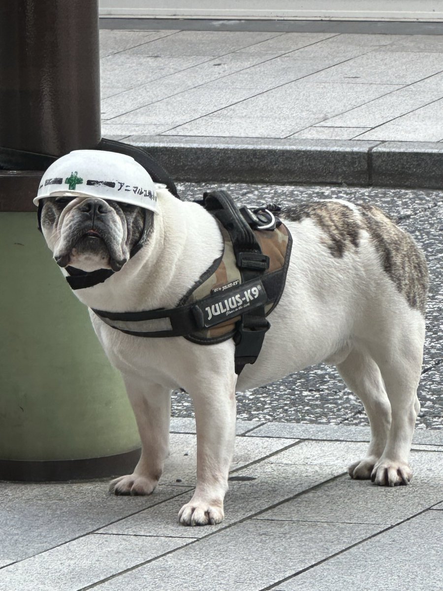 YO4_TR's tweet photo. 今日の一コマ https://t.co/Nk5ez2s6fX