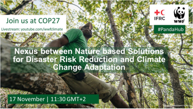 What is the nexus between #NaturebasedSolutions for #DisasterRiskReduction and #ClimateChange Adaptation? 

🌿 Join <a href="/ifrc/">IFRC</a> and <a href="/WWF/">WWF</a> on the 17th of November at #COP27 #PandaHub or online 

👉 Join the livestream here: youtube.com/wwfclimate