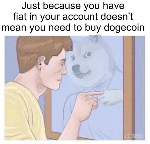 HODLdogeNOTdebt's tweet photo. @elonmusk @helvio @rmotta2 #dogecoin https://t.co/uWr80KSkYV