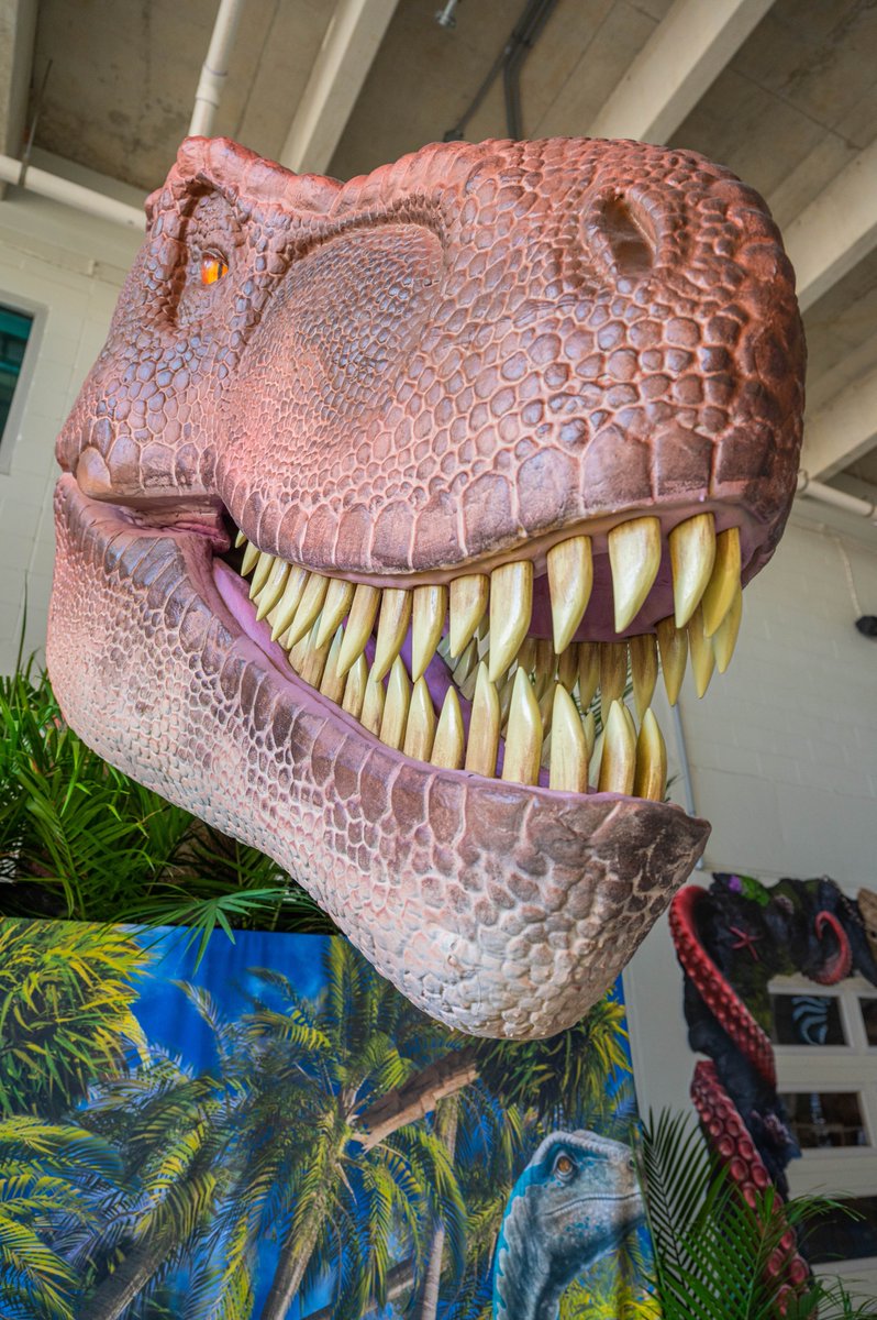 VisitSPC's tweet photo. Something RAWRsome is going on right now at @CMAquarium! The Dino Rescue Experience brings you up-close and personal with life-size dinosaurs, some as tall as 35 feet and 65 feet long! Go check it out! 🦖🦕 #ClearwaterMarineAquarium #DinoRescue

🎟️: https://t.co/xG7mApI3fb https://t.co/1ODkg2kAaf