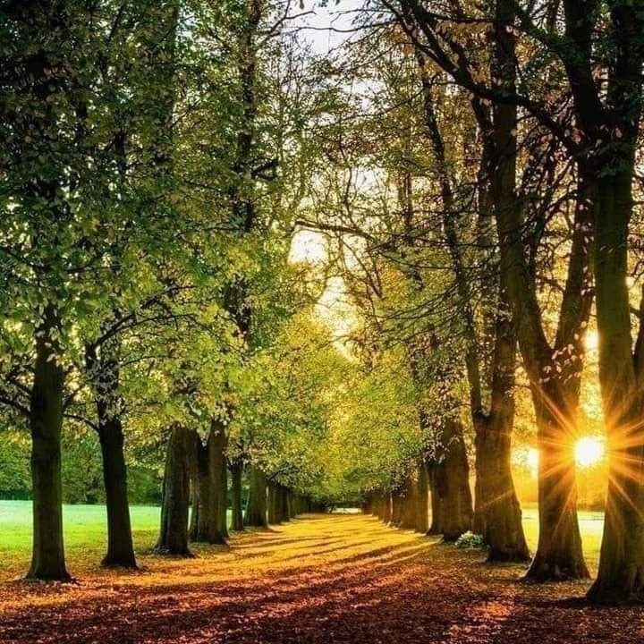 Creandounpl1's tweet photo. La vida es sucesión de lecciones que deben ser vividas ser entendidas. Hellen Keller. Escritora, oradora y activista política sordo ciega estadounidenses: #creandounpl #sucesión #lecciones #vividas https://t.co/E6iyvqkkch